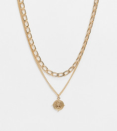 Набор золотистого цвета: ожерелье с Т-образной застежкой и ярусное ожерелье Accessorize Exclusive-Золотой