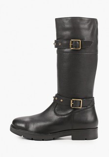 Сапоги Ralf Ringer 