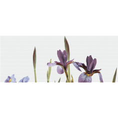Панно Керамин Ирис тип 1 50x20 см