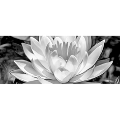 Панно Керамин Элегия 1 тип 3 50x20 см