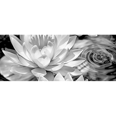 Панно Керамин Элегия 1 тип 2 50x20 см