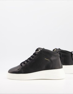 Высокие кожаные кроссовки черного цвета Fiorelli Pippa-Черный