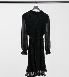 Черное кружевное платье мини на поясе с высоким воротом и длинными рукавами Little Mistress Plus-Черный
