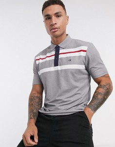 Серое поло с белыми полосами Calvin Klein Golf Anchor-Серый