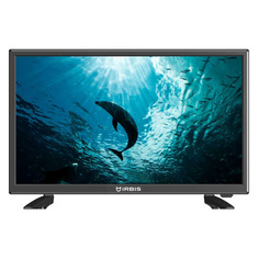 Телевизор IRBIS 24S01HD310B, 24", HD READY