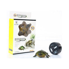 Радиоуправляемая игрушка Eztec Черепашка