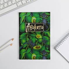 Тетрадь с черными листами 15 листов Art Fox
