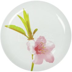 Тарелка обеденная стеклянная, 250 мм, Water Color E4891 Luminarc