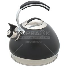 Чайник из нержавеющей стали Daniks MSY-A060B со свистком, 3 л