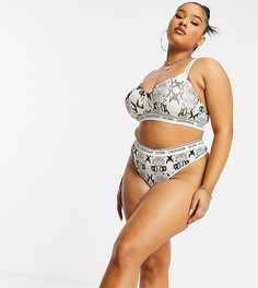 Хлопковые стринги со змеиным принтом Calvin Klein Plus Size CK One-Кремовый