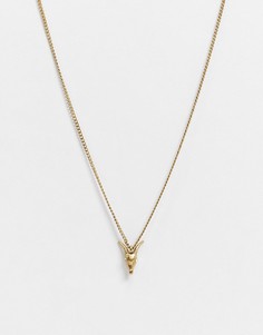 Золотистое ожерелье с подвеской в виде бараньего черепа AllSaints-Золотистый