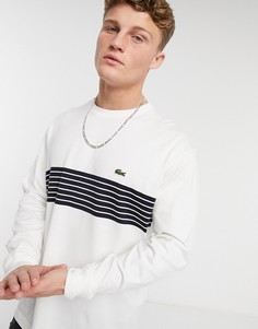 Белый лонгслив с полосатой вставкой Lacoste