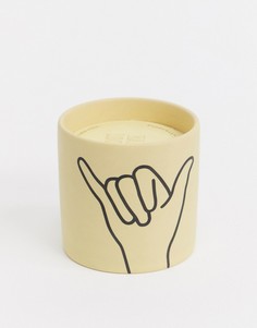 Свеча с ароматом Ocean Rose & Bay от Paddywax-Бесцветный