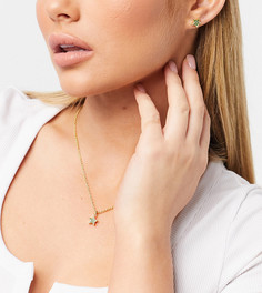 Подарочный набор из ожерелья и сережек в золотистом и зеленом цветах Ted Baker Exclusive Safra-Золотой