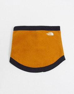 Коричневый неквормер The North Face Denali