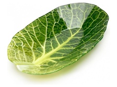 Салатник Walmer Leaf Lettuce 18x27cm W22071827
