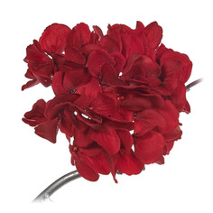 Цветок на клипсе Goodwill 15 см красный