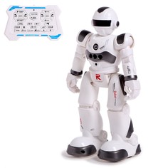 Робот-игрушка радиоуправляемый iq bot gravitone, русское озвучивание, цвет серый Woow Toys