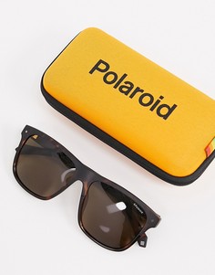 Квадратные солнцезащитные очки Polariod-Коричневый цвет Polaroid