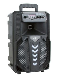 Колонка Eltronic 08 BT-09