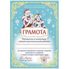 Сувенир Деда Мороза и Снегурочки 0,1х21 см Без бренда