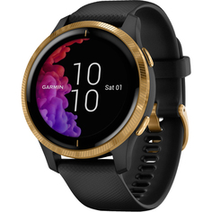 Смарт-часы Garmin Venu Black/Gold (010-02173-33)