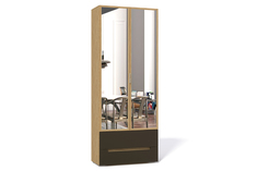 Шкаф Анри АН-200.04_02 Ангстрем