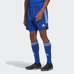 Шорты Condivo 21 Primeblue adidas Performance