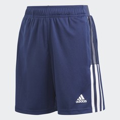 Шорты Tiro 21 adidas Performance