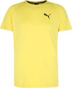 Футболка мужская Puma RTG Tee, размер 48-50