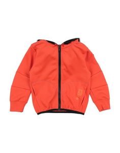 Толстовка AI Riders ON THE Storm