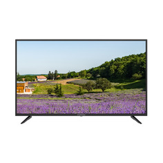 Телевизор STARWIND SW-LED43SA303, 43", FULL HD