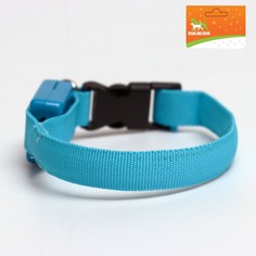 Ошейник светящийся узкий для небольших собак, 26 х 1,5 см, голубой Пижон