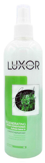 Domix, Несмываемый восстанавливающий двухфазный спрей-кондиционер для волос Luxor Leave In Two-Phase Spray Conditioner, 350 мл Elea Professional