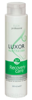 Domix, Шампунь безсульфатный, восстанавливающий для поврежденных волос Luxor Hair Therapy Recovery Care, 300 мл Elea Professional