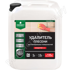Удалитель плесени с минеральных поверхностей PROSEPT