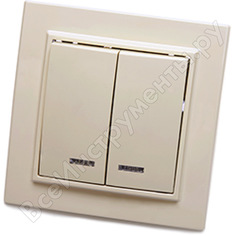 Двухклавишный выключатель STEKKER