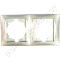 Двухпостовая вертикальная рамка TDM