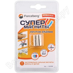 Неодимовый магнит Forceberg