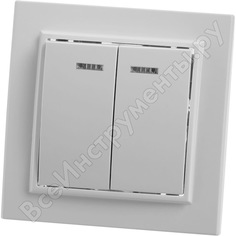 Двухклавишный выключатель STEKKER