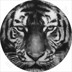 Чехол запасного колеса SKYWAY