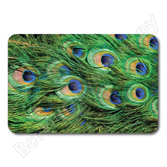 Коврик для ванной и туалета VERAGIO