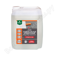 Универсальный пропиточный грунт для различных поверхностей PROSEPT