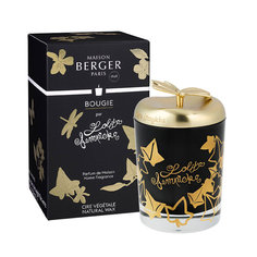 Свеча ароматическая Maison berger Лолита лемпика black edition 240 г