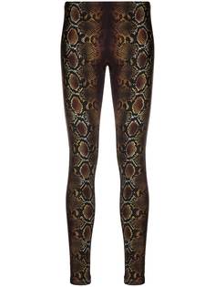 Versace легинсы со змеиным принтом