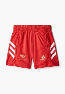 Шорты спортивные adidas 