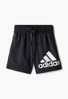Шорты спортивные adidas B BL SHO