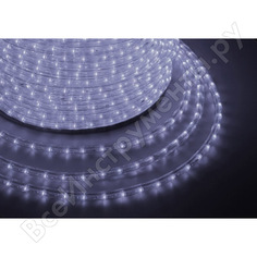 Дюралайт Neon-Night