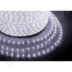 Дюралайт Neon-Night