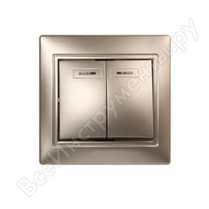 Двухклавишный выключатель Smartbuy